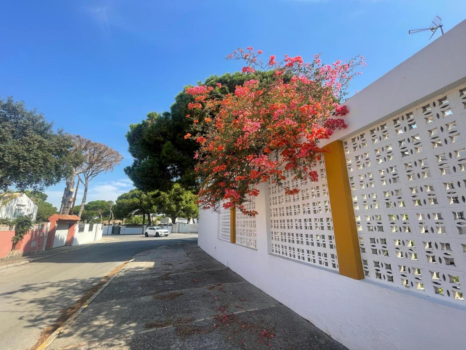 Pescadores Del Sur Chiclana de la Frontera Exterior foto